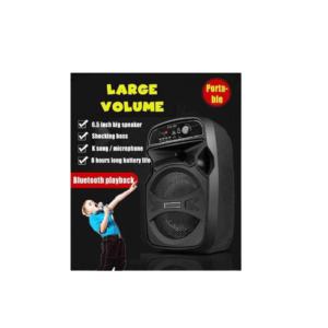 Portable Wireless Bluetooth Karaoke Speaker KTS-1061 with Mic, USB, SD, FM Radio