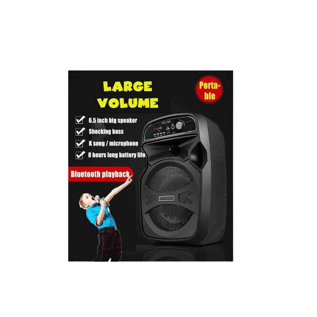 Portable Wireless Bluetooth Karaoke Speaker KTS-1061 with Mic, USB, SD, FM Radio